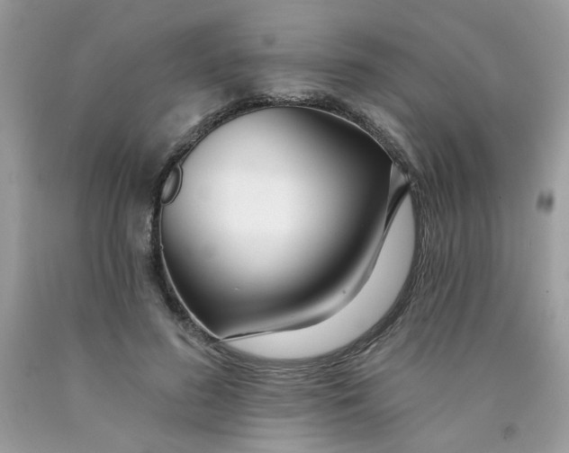 X0000089940596200707201905