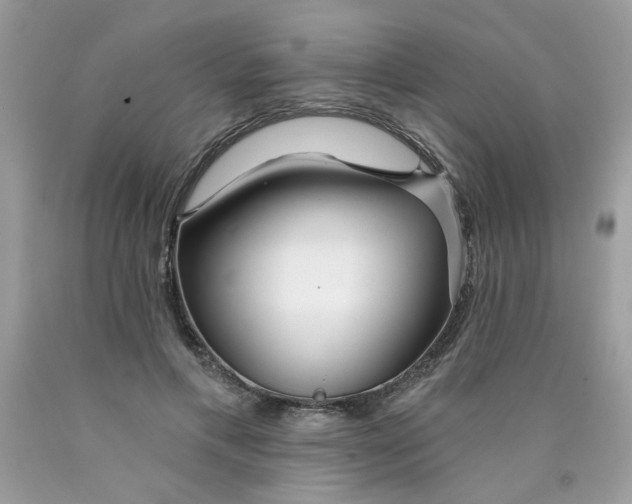 X0000089940597200707201905