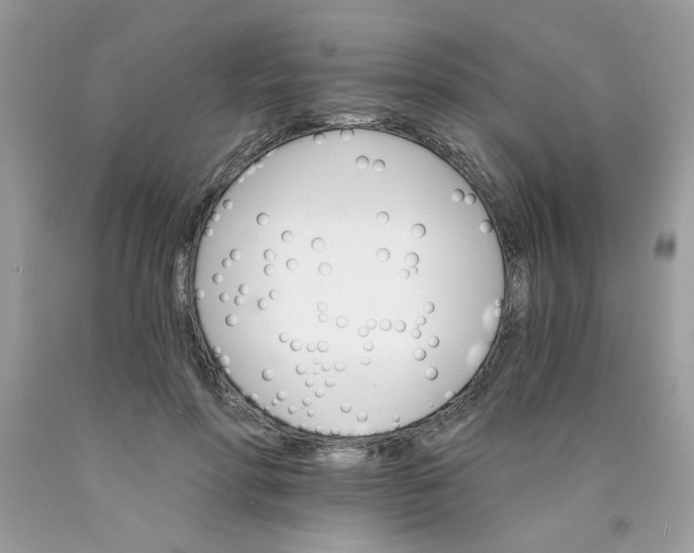 X0000089940598200707201905