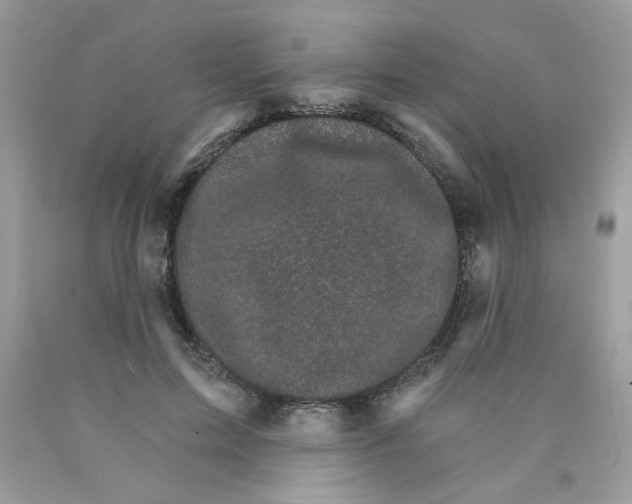 X0000089940599200707201905