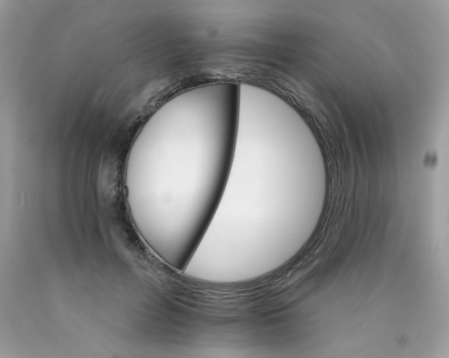 X0000089940600200707201905