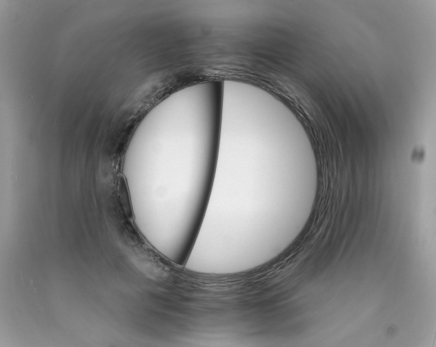 X0000089940601200707201905