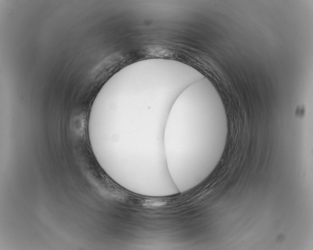 X0000089940602200707201905