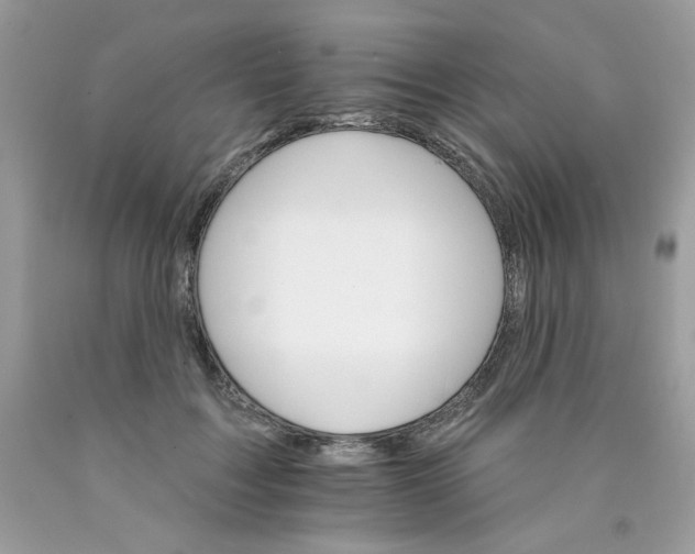 X0000089940603200707201905