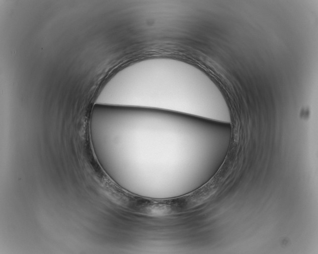 X0000089940604200707201905