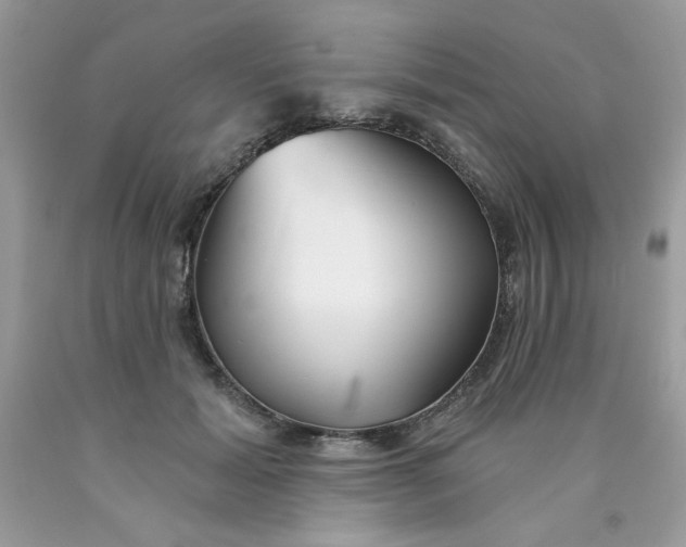 X0000089940605200707201905