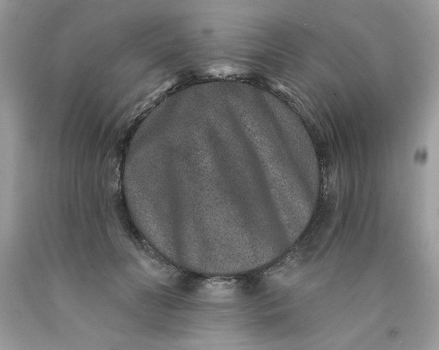 X0000089940606200707201905