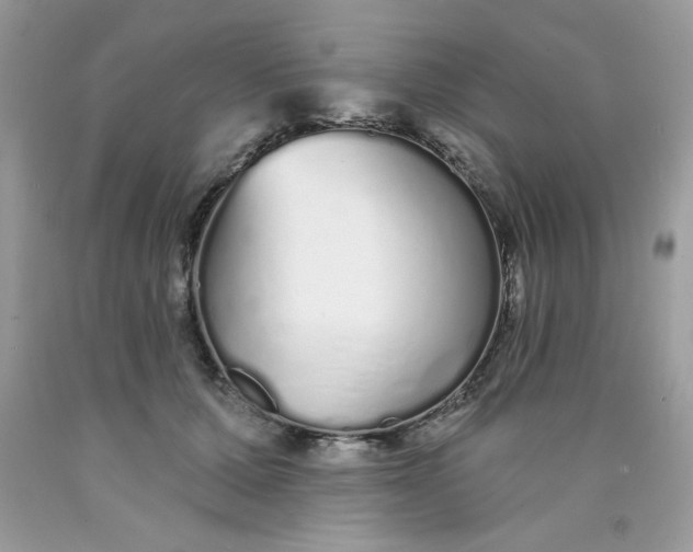 X0000089940607200707201905