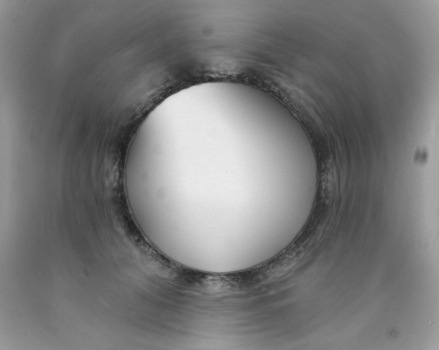 X0000089940608200707201905