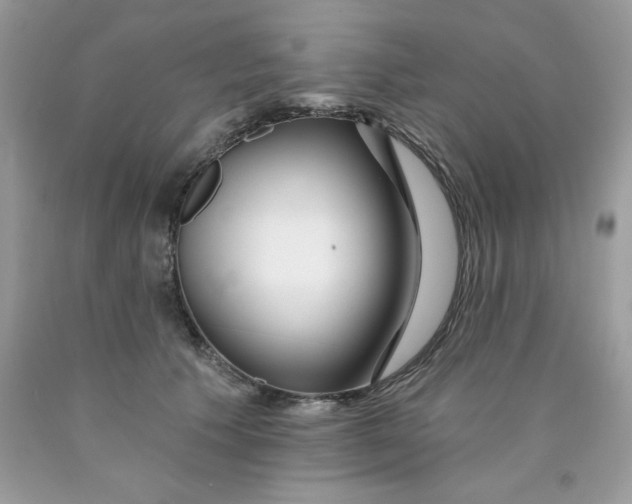 X0000089940609200707201905