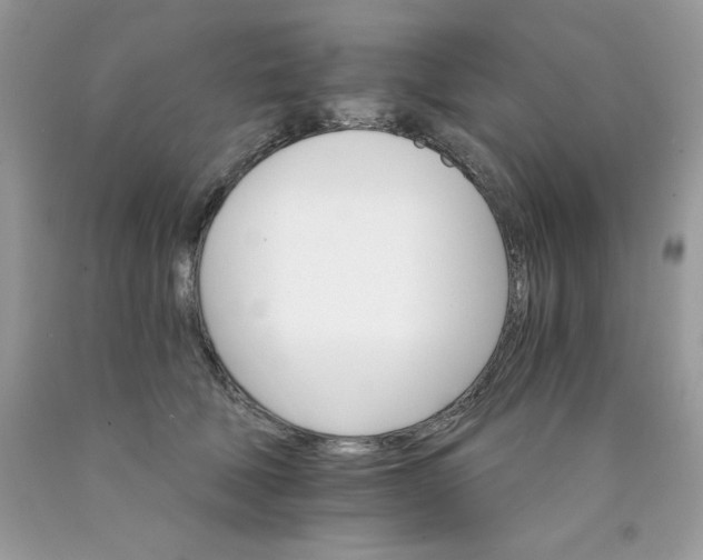 X0000089940610200707201905