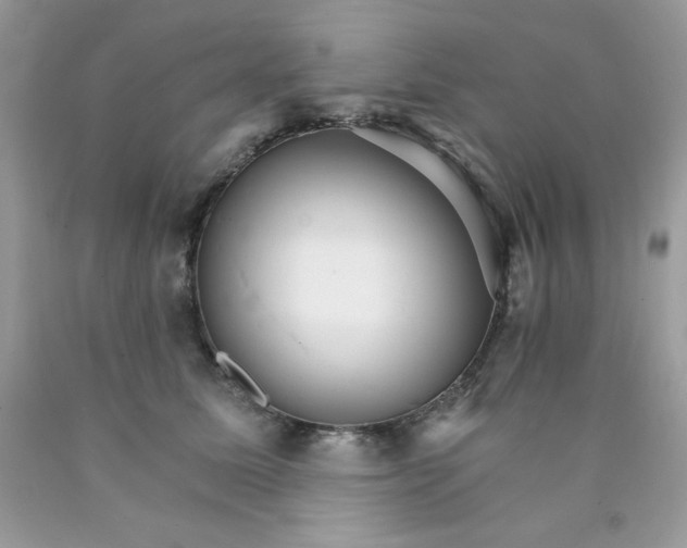 X0000089940611200707201905