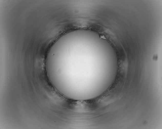 X0000089940612200707201905