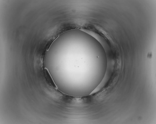 X0000089940613200707201904