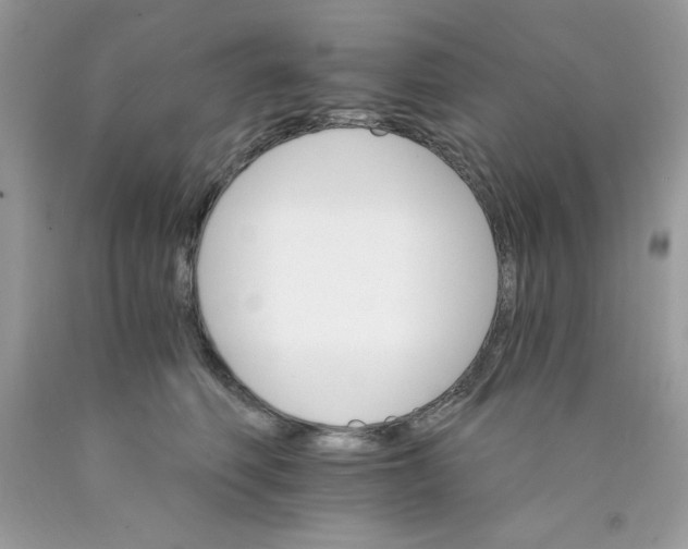 X0000089940614200707201904