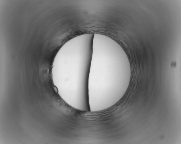 X0000089940615200707201904