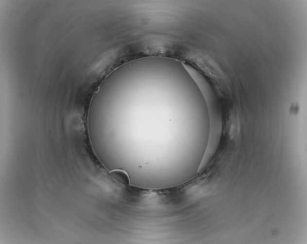 X0000089940616200707201904