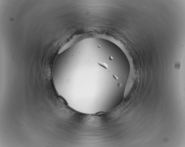 X0000089940617200707201904