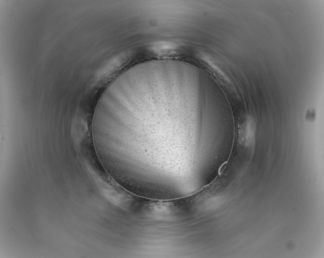 X0000089940618200707201904