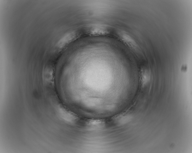 X0000089940619200707201904