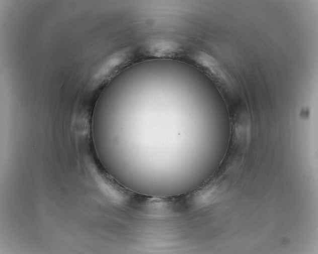 X0000089940620200707201904