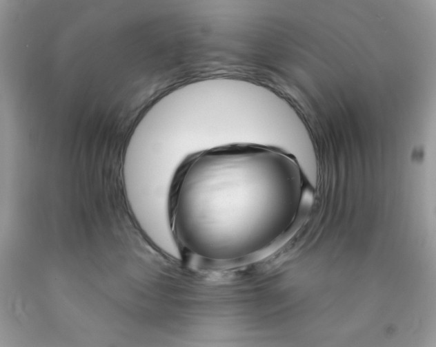 X0000089940621200707201904