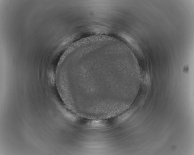 X0000089940622200707201904