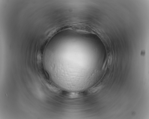 X0000089940623200707201904