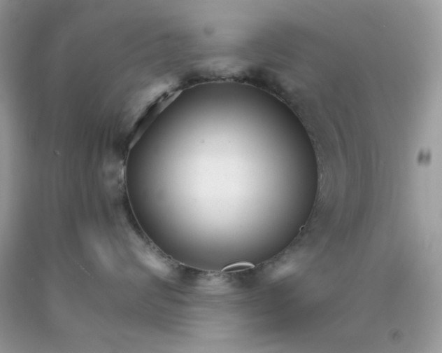 X0000089940624200707201904