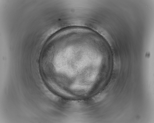 X0000089940625200707201904