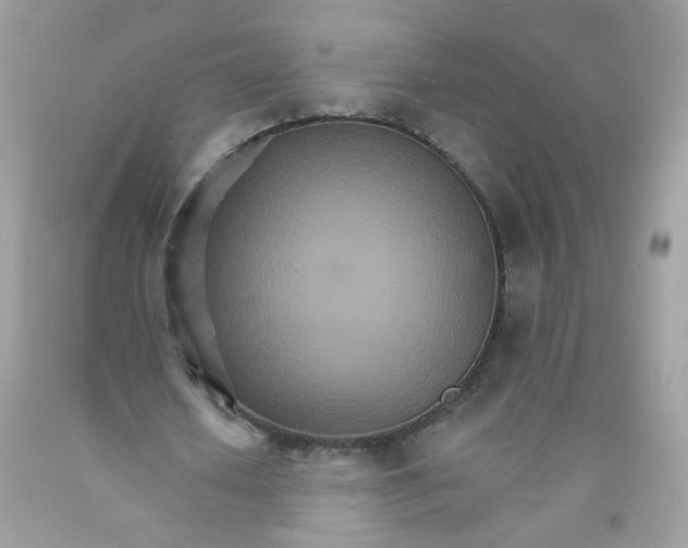 X0000089940626200707201904