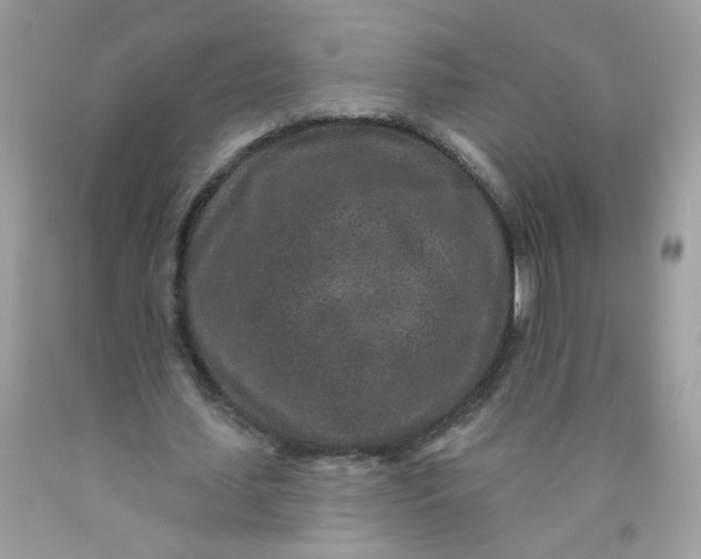 X0000089940627200707201904