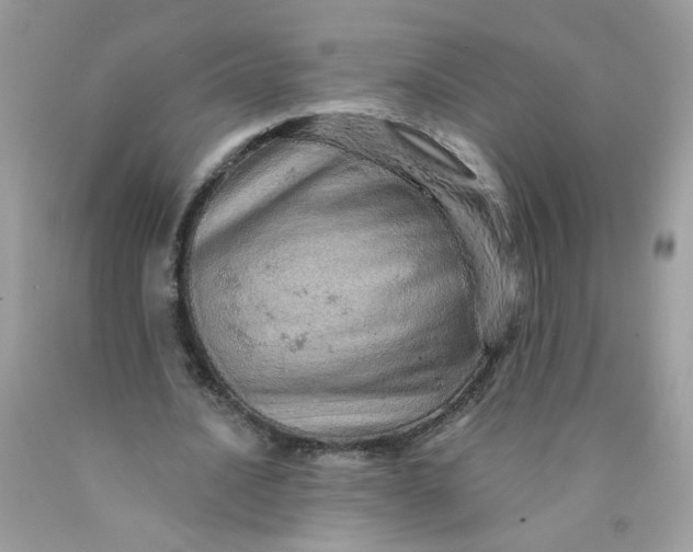 X0000089940628200707201904