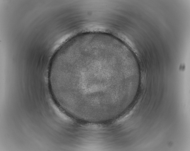 X0000089940629200707201904