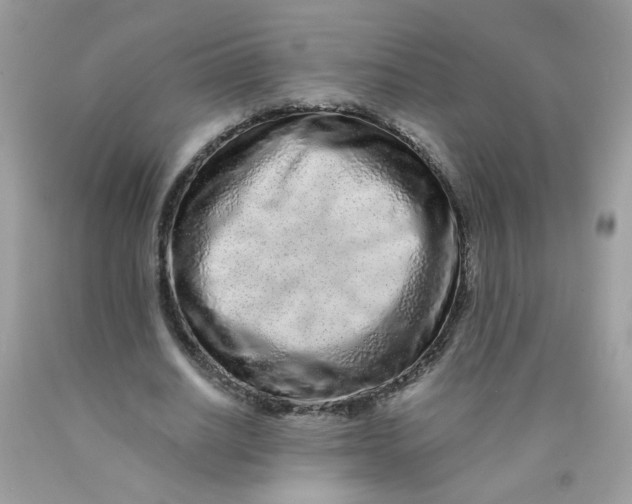 X0000089940630200707201904