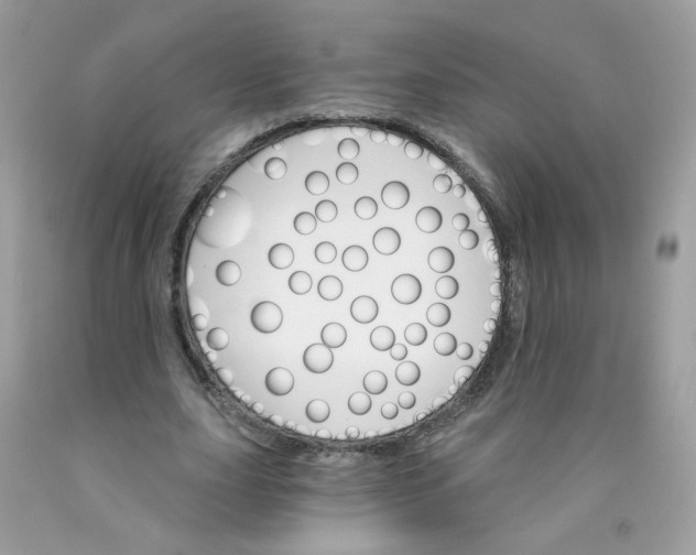 X0000089940631200707201904