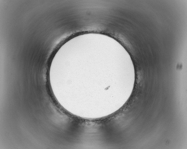 X0000089940632200707201904