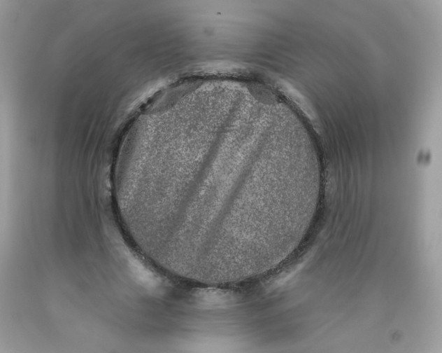 X0000089940633200707201904