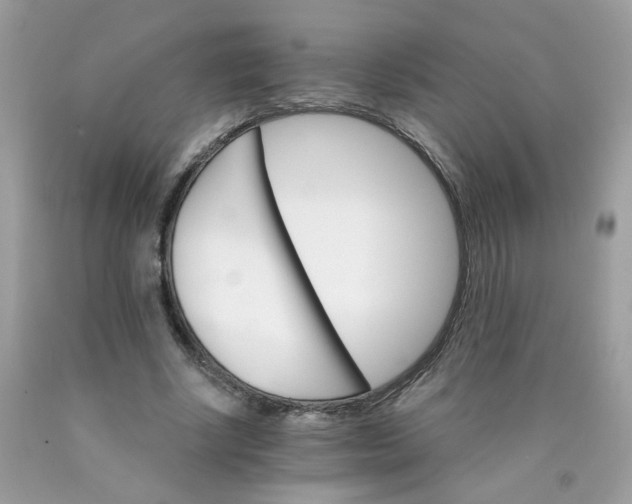 X0000089940634200707201904