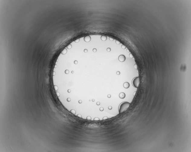 X0000089940635200707201904