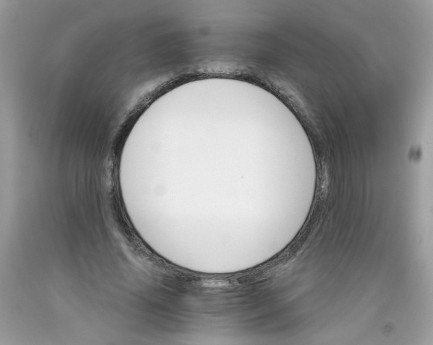 X0000089940636200707201904