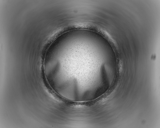 X0000089940637200707201904