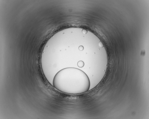 X0000089940639200707201904