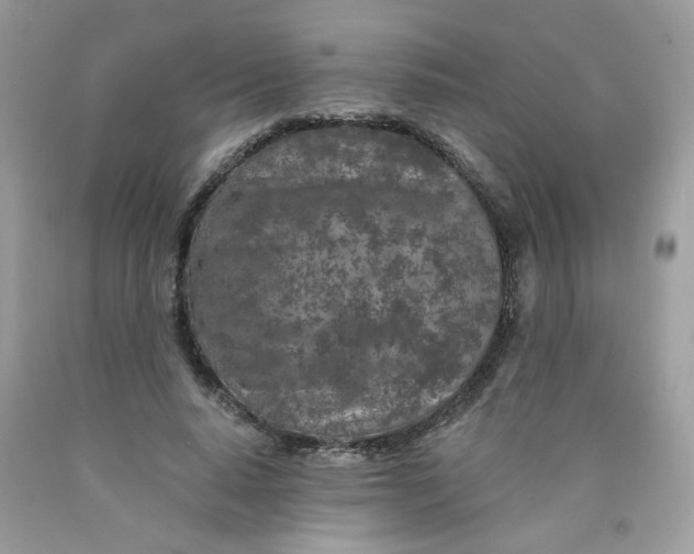 X0000089940640200707201904