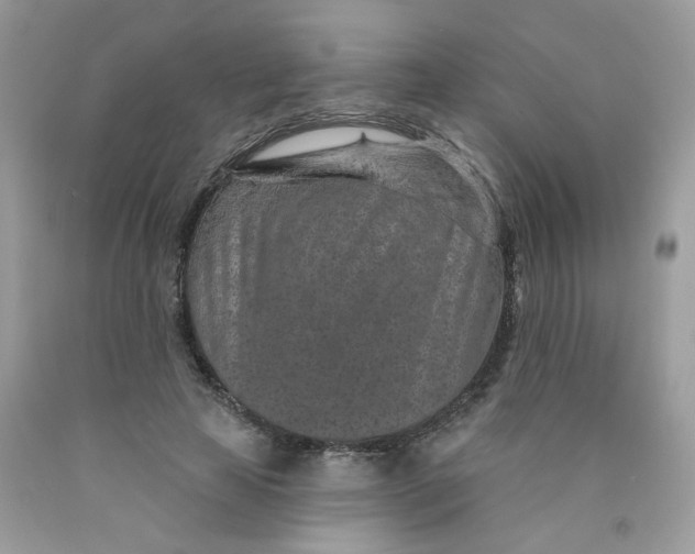 X0000089940641200707201904