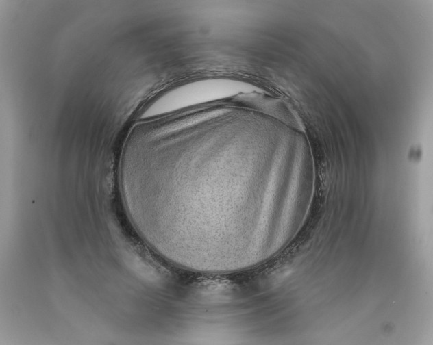 X0000089940642200707201904