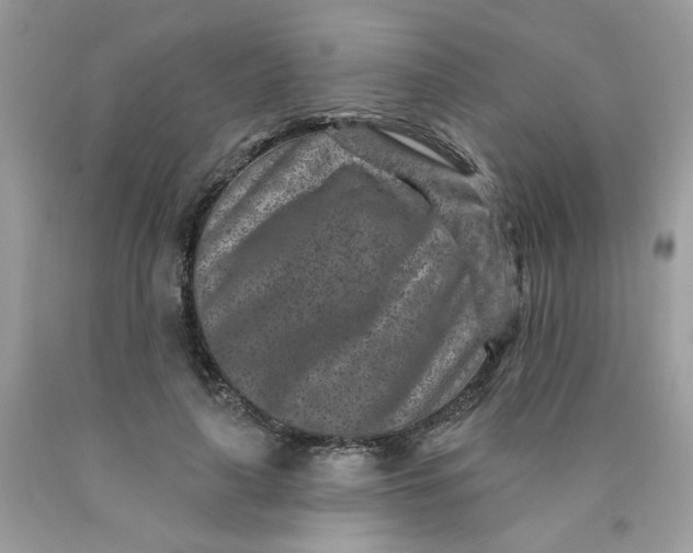 X0000089940643200707201904