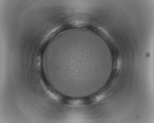 X0000089940646200707201904