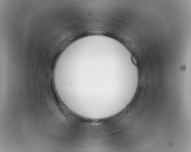 X0000089940647200707201904