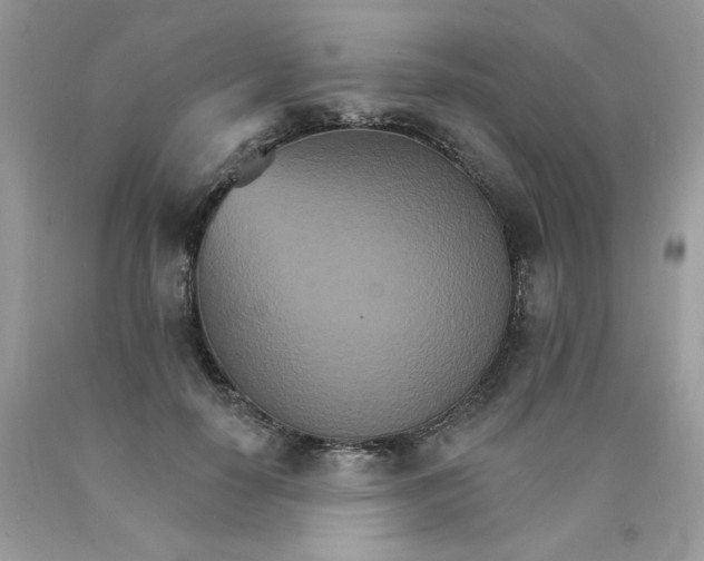 X0000089940650200707201904